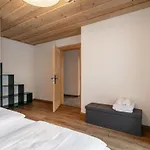 Doerler Apartment Kirchberg in Tirol